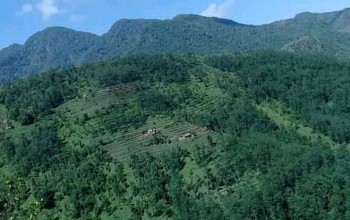 फलाम खानीको सम्भाव्यता अध्ययन गर्न भुगर्भविद्को टोली पुर्चौंडीमा 